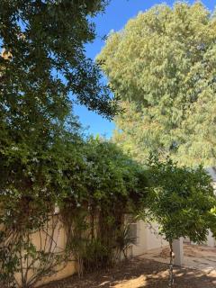 Villa Lumière La Marsa - 6