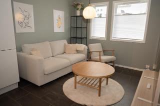 Modern Apt, Near city centre , Walking distance - 5