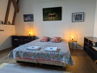 Domaine de Bel Ebat - 8