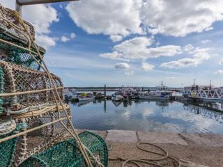 Little Gull - Short walk to Poole Quay - 2