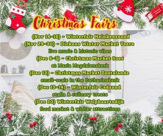 Budget Private Room Near Zoutelande Beach - 2