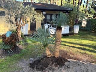 Studio Euronat center - 0