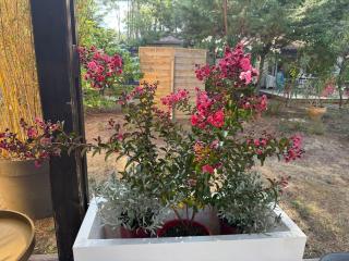 Studio Euronat center - 6