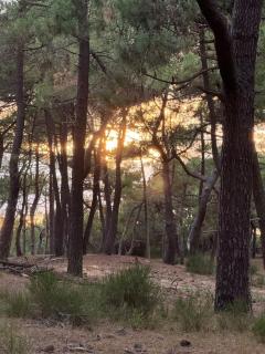 Studio Euronat center - 4