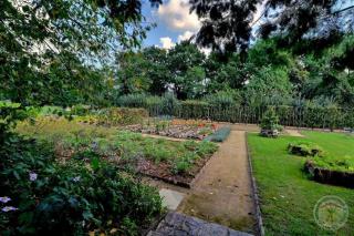 Manoir de la droulinais - 4