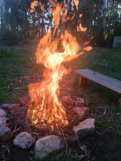 Un espacio para contactar con la naturaleza - 7