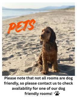 Maes Y Neuadd Country House - 1