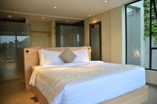 Emerald hill mountain 8 BR and 4 BR honeymoon suite private plunge pool karaoke heated pool - 1