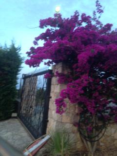 Villa Dorotea - Castellammare del Golfo - 0