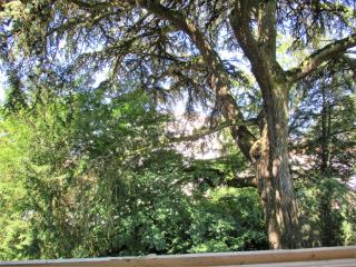 LIMOGES mairie, parking, ! - Limoges - 4