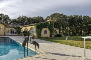 Bosque Apartamento - 8