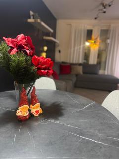 Cozy home near Santa - 0