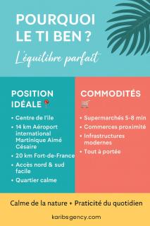 Ti Ben - Jacuzzi Privatif Jardin Tropical - Le Robert - 4