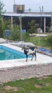 Rincón Moscatel - 6