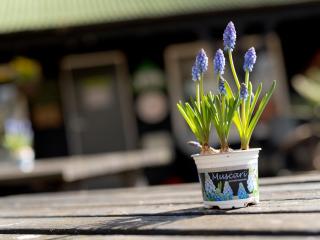 YHA Jordans - Partner - 1