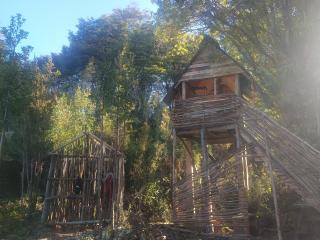 Cabañas bosque de la bruja - 1