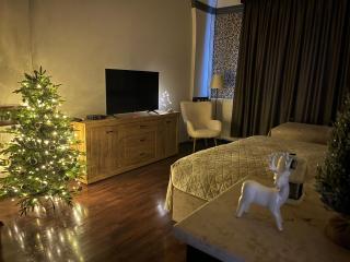 Mohács Korona Apartman - Mohács - 0