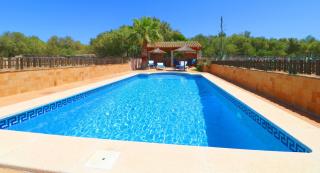 Alcoraia - Campos - 0