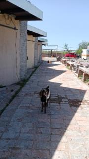 Rincón Moscatel - 9