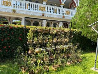 MADONU GARDENS HOTEL And TOUR - 7