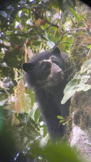 El Paraíso Escondido De Los Yumbos - 2