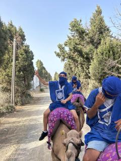 Expérience Chameau à Tanger - Nature & Sérénité - 6