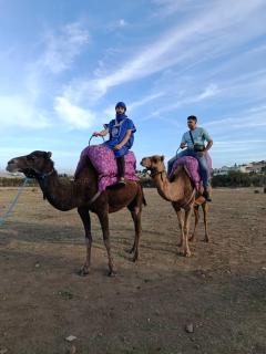 Expérience Chameau à Tanger - Nature & Sérénité - 4