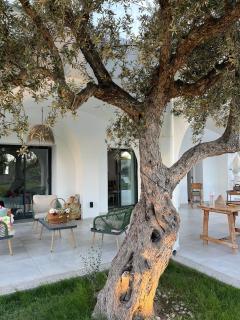 Casabianca Tazarka - Hébergement de luxe pour 6 Pax - 8