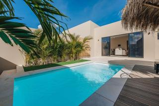 Super Stylish Home with Private Pool and outdoor - Eagle Beach - 9
