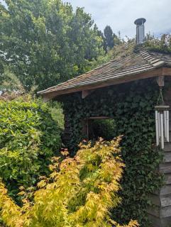 Artist's Hawkhurst Home with Heated Pool & Sauna - 2