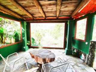 Los Matos, Canarian house in Valleseco - 6