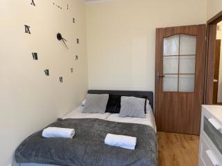 Apartament na Sztukach Pięknych- free private parking - Toruń - 5