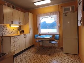 Room with Midnight-sun and Norhern-light View - 7