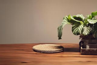 High Tree - Macclesfield - Near AZ, Rail & Peaks - 6