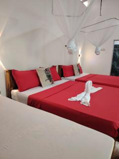 Peacock's Paradise Safari Hostel - 9