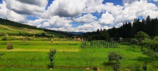 Гукливчик - Huklyvyy - 9