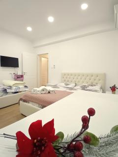 Serendipity Apartment - 0