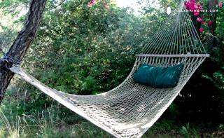 Romantic Cabin Retreat for Couples in Cape Cod Bay near Provincetown - 8