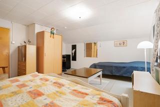 Cozy Finnish Heritage Villa - 6