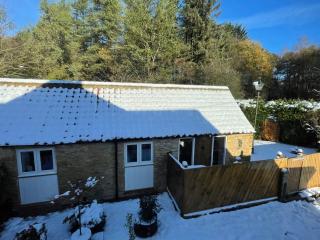 Forest Edge, Wykeham Forest - 7