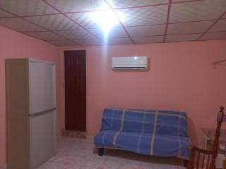 Beautiful air condioned villa for singles, couples, families and groups cozy stay - 2