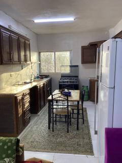 الاردن عجلون صخره - 3