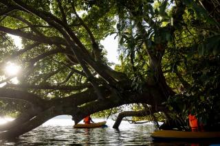 Scenery River Star Hotel - 1