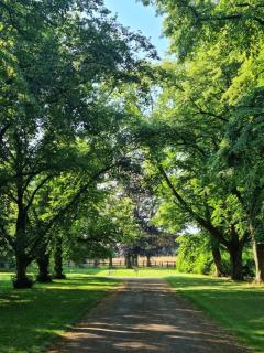 Beautiful Country House Apartment - 1