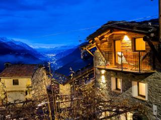 Little Wild House - 0