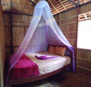 " Wobbegong Raja Ampat " - 6