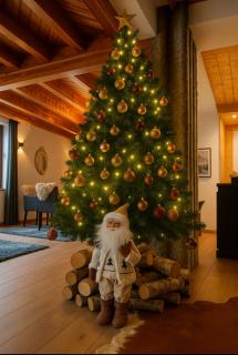 Villa - Détente & Jacuzzi aux portes de Gérardmer - 6