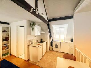 Urban Jungle T2 Pau tout à pied - 9