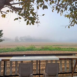 Six Nature Resort - 7