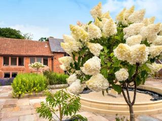 Finest Retreats - Ivy Cottage, Great Houndbeare Farm - 6